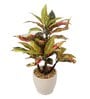 Red Pvc Croton Artificial Bonsai With Off- White Ceramic Pot