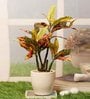 Red Pvc Croton Artificial Bonsai With Off- White Ceramic Pot