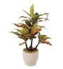 Red Pvc Croton Artificial Bonsai With Off- White Ceramic Pot