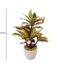 Red Pvc Croton Artificial Bonsai With Off- White Ceramic Pot