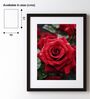 Red Rose Printed Canvas Wall Art