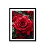 Red Rose Printed Canvas Wall Art