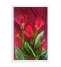 Red Roses Handmade Acrylic Paint On Canvas Unframed