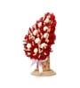 Red Inverted Heart Shaped Sola Natural Dried Flowers On Conical Wooden Base