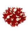 Red Sola Natural Dried Flowers On Coconut Shell Decorated With Coir