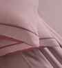 Red Solid 300 TC Cotton King Size Bed Sheet with 2 Pillow Covers 24 Collection