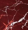 Red Abstract Blended Linen 3 ft x 5 ft Machine Made Carpet