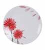 Sunflower 40 Pcs White & Red Melamine Dinnerware Set