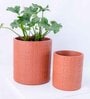 Red Terracotta Brick Planter Set