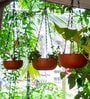 Red Terracotta Hanging Planter Set Of  3