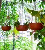 Red Terracotta Hanging Planter Set Of 6