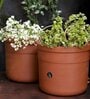 Jar Set Of 2 Red Terracotta Floor Planter