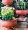 Red Terracotta Stand Donga Planter Medium