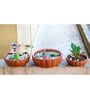 Red Terracotta Water Melon Desk Pot Set
