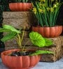 Red Terracotta Water Melon Desk Pot Set