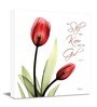 Red tulips (be still and know that I am god) Poster Print Flower Canvas art Print, Modern X-Ray Wall Painting For Living Room D cor