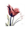 Red tulips Live laugh Love Poster Print Flower Canvas art Print, Modern X-Ray Wall Painting For Living Room D cor