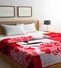 Red Floral Wool 600 GSM Double Bed Blanket