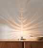 Reef Table Lamp