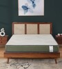 Regal 8 inch HR Foam King Size Mattress