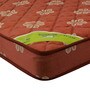 Regal 4 inch Coir Single Mattress
