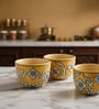 Regal Flora Ceramic Bowl Set of 3(300ml Each)