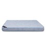 Regal 5 inch Latex Single Size Mattress