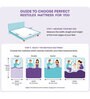 Regal 5 inch Latex Single Size Mattress
