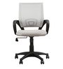 Regal Ergonomic Chair in Grey Colour