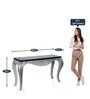Regat Console Table in Brown Silver Colour