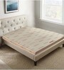 Relish King Bed 75x72x6 Pocketed Spring Mattress (Free Pillow)