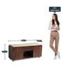 Relish Shoe Rack with Seating in Teak Finish