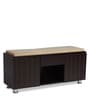 Relish Shoe Rack With Seating In Wenge Finish