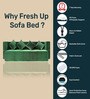 Relive (78x36) 3 Seater 14 Inch Foam Single Size Sofa Cum Folding Mattress