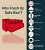 Relive 14 Inch Foam (78x36) In Maroon Colour Single Size Sofa Cum Foldable Mattress