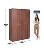 Relm 3 Door Wardrobe in Walnut Finish