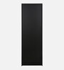 Ren 2 Door Wardrobe in Wenge Finish with Lock