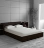 Ren King Size Bed in Wenge Finish