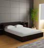 Ren King Size Bed in Wenge Finish