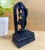 Resin Black Ayodhya Lord Rama Idol