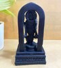 Resin Black Ayodhya Lord Rama Idol