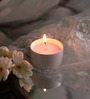 Candles Rose Fragrance Natural Wax Aroma Candle with White Holder
