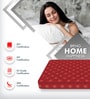 Resteria 6 inch Coir Single Mattress