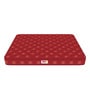 Resteria Golden Fibre Tech.
 Coir 6 Inches King Size Mattress in Red Colour