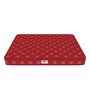 Resteria Golden Fibre Tech.
 Coir 8 Inches Queen Size Mattress in Red Colour