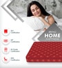 Resteria Golden Fibre Tech.
 Coir 8 Inches Single Size Mattress in Red Colour