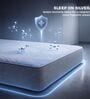 Restolex SilvRest Reversible  6 Inches Natural Latex Roll  King Size Mattress