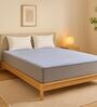 Restolex SilvRest Reversible 6 Inches Natural Latex Roll Queen Size Mattress Restolex SilvRest Reversible 6 Inches Natural Latex Roll Queen Size Mattress