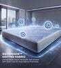 Restolex SilvRest Reversible 6 Inches Natural Latex Roll Queen Size Mattress Restolex SilvRest Reversible 6 Inches Natural Latex Roll Queen Size Mattress