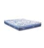Restorganic Organic Passion  10 Inches Natural Latex  Queen Size Mattress